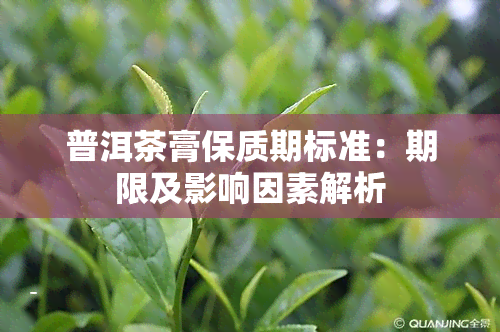 普洱茶膏保质期标准：期限及影响因素解析