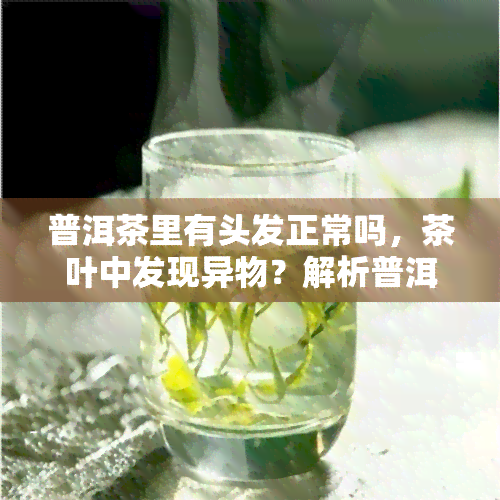 普洱茶里有头发正常吗，茶叶中发现异物？解析普洱茶里有头发是否正常