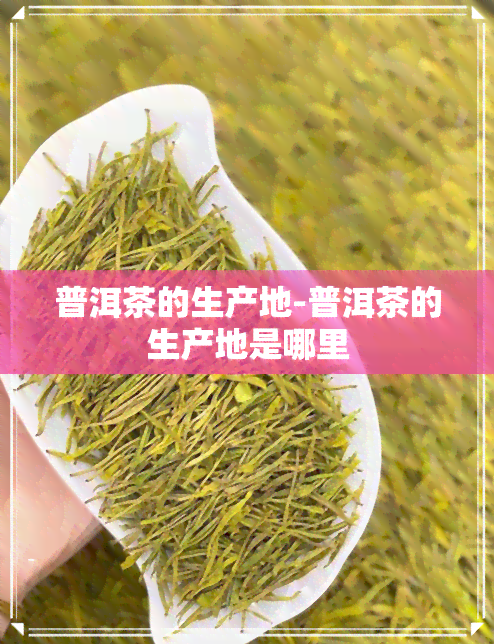 普洱茶的生产地-普洱茶的生产地是哪里