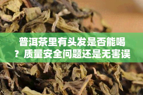 普洱茶里有头发是否能喝？质量安全问题还是无害误解？