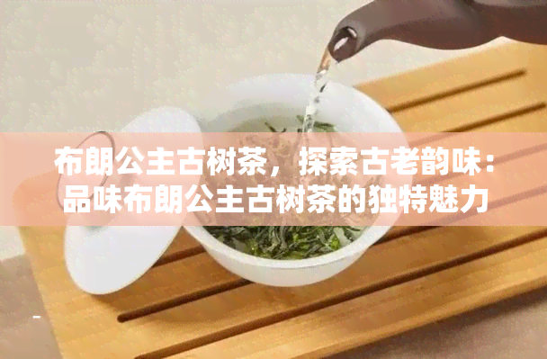 布朗公主古树茶，探索古老韵味：品味布朗公主古树茶的独特魅力