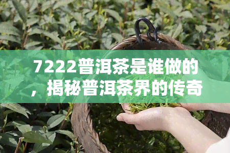 7222普洱茶是谁做的，揭秘普洱茶界的传奇人物：7222普洱茶的是谁？