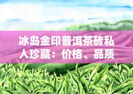 冰岛金印普洱茶砖私人珍藏：价格、品质全解析