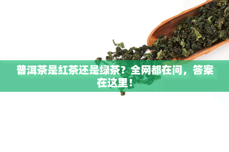 普洱茶是红茶还是绿茶？全网都在问，答案在这里！