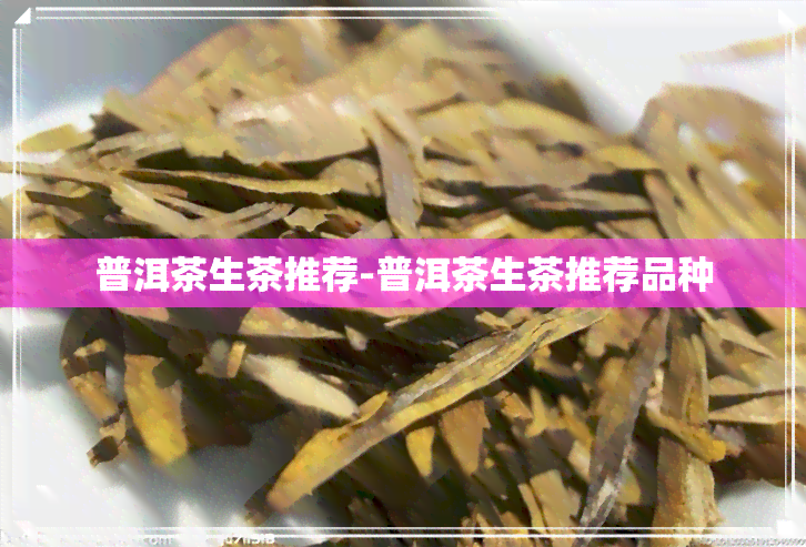 普洱茶生茶推荐-普洱茶生茶推荐品种