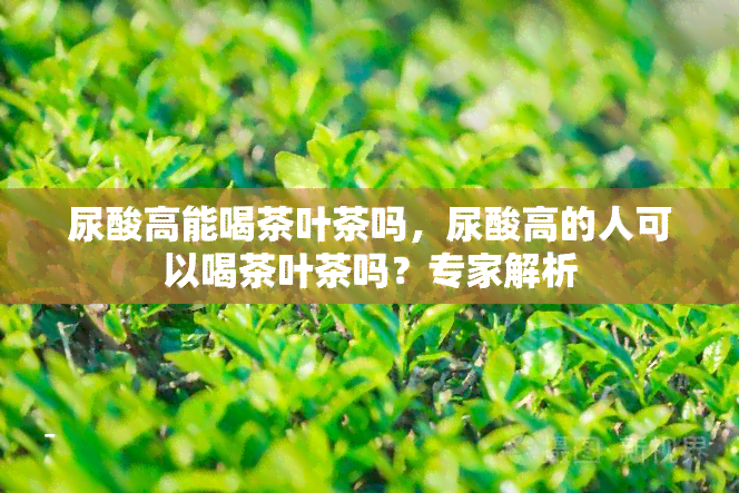 尿酸高能喝茶叶茶吗，尿酸高的人可以喝茶叶茶吗？专家解析