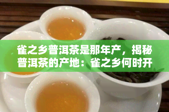 雀之乡普洱茶是那年产，揭秘普洱茶的产地：雀之乡何时开始生产优质茶叶？