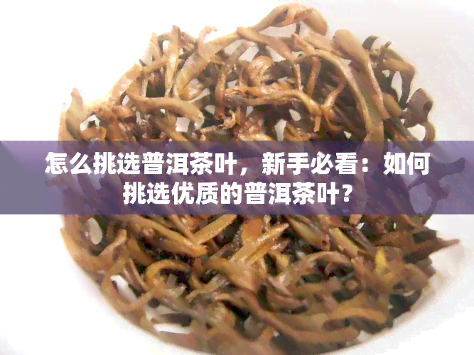 怎么挑选普洱茶叶，新手必看：如何挑选优质的普洱茶叶？