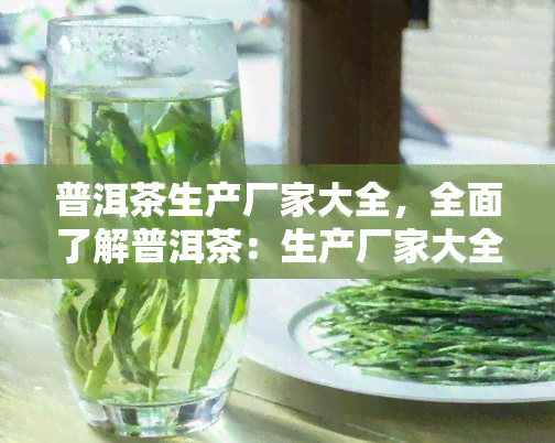 普洱茶生产厂家大全，全面了解普洱茶：生产厂家大全一览