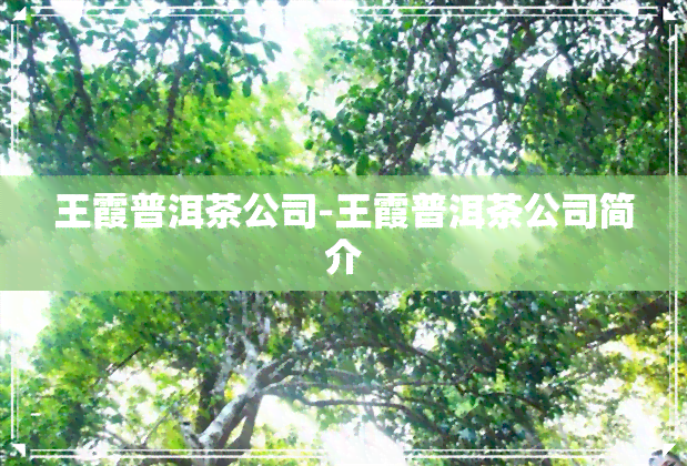 王霞普洱茶公司-王霞普洱茶公司简介