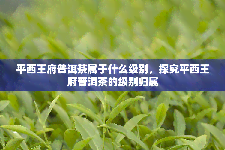 平西王府普洱茶属于什么级别，探究平西王府普洱茶的级别归属