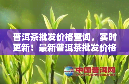 普洱茶批发价格查询，实时更新！最新普洱茶批发价格查询全在这里