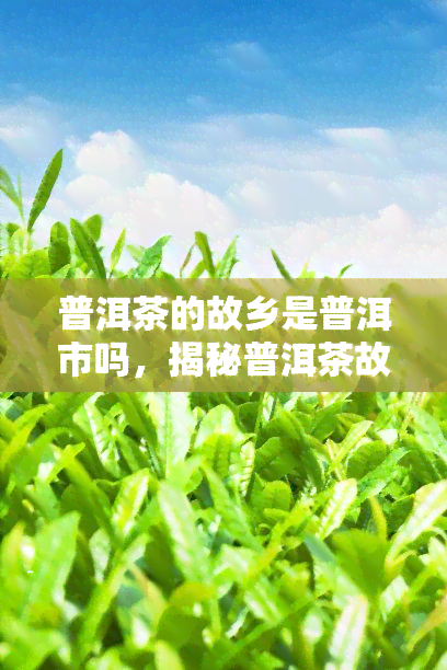 普洱茶的故乡是普洱市吗，揭秘普洱茶故乡：普洱市真的是普洱茶的发源地吗？