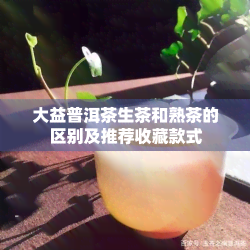 大益普洱茶生茶和熟茶的区别及推荐收藏款式