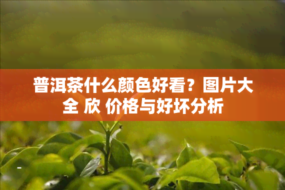 普洱茶什么颜色好看？图片大全 欣 价格与好坏分析