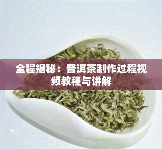 全程揭秘：普洱茶制作过程视频教程与讲解