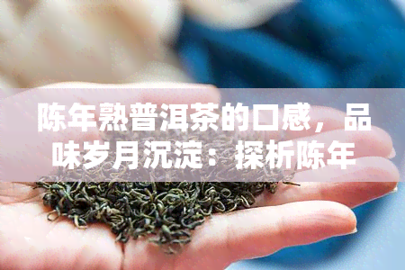 陈年熟普洱茶的口感，品味岁月沉淀：探析陈年熟普洱茶的独特口感