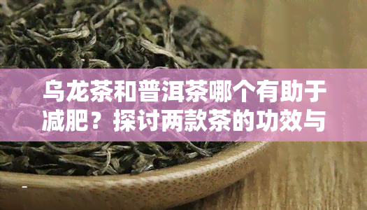 乌龙茶和普洱茶哪个有助于减肥？探讨两款茶的功效与效果比较