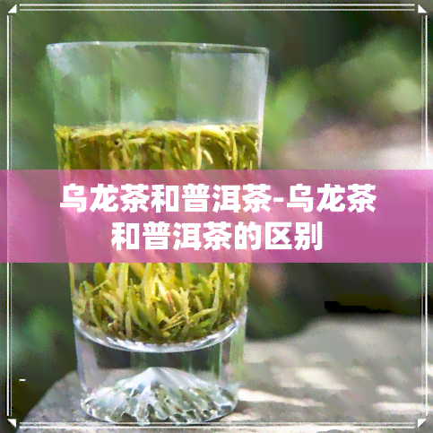 乌龙茶和普洱茶-乌龙茶和普洱茶的区别