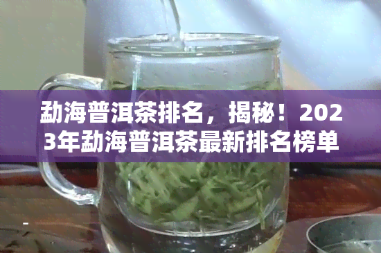 勐海普洱茶排名，揭秘！2023年勐海普洱茶最新排名榜单出炉