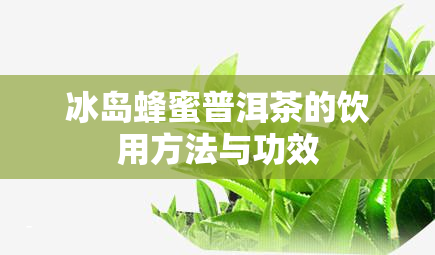 冰岛蜂蜜普洱茶的饮用方法与功效