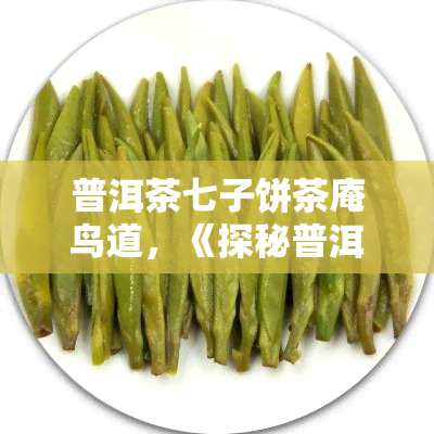 普洱茶七子饼茶庵鸟道，《探秘普洱茶：七子饼、茶庵、鸟道的传奇故事》