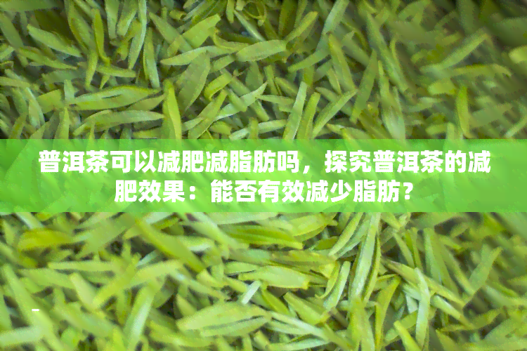 普洱茶可以减肥减脂肪吗，探究普洱茶的减肥效果：能否有效减少脂肪？