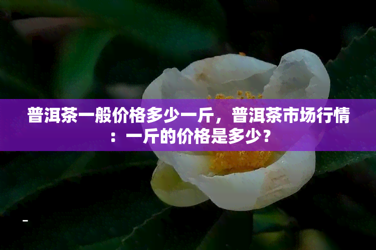 普洱茶一般价格多少一斤，普洱茶市场行情：一斤的价格是多少？