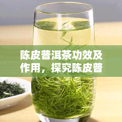 陈皮普洱茶功效及作用，探究陈皮普洱茶的神奇功效与作用