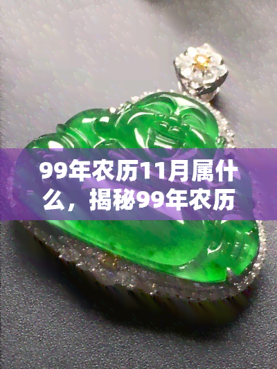 99年农历11月属什么，揭秘99年农历11月的生肖属相，你属于哪一种？