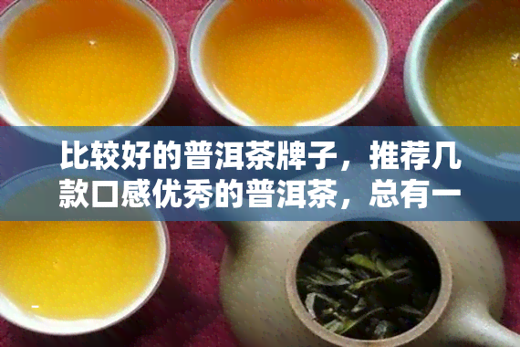 比较好的普洱茶牌子，推荐几款口感优秀的普洱茶，总有一款适合你！