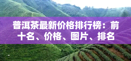 普洱茶最新价格排行榜：前十名、价格、图片、排名、报价一网打尽，快速查询！