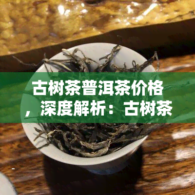 古树茶普洱茶价格，深度解析：古树茶普洱茶价格的背后故事与价值探讨