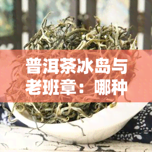 普洱茶冰岛与老班章：哪种更好？区别在哪里？