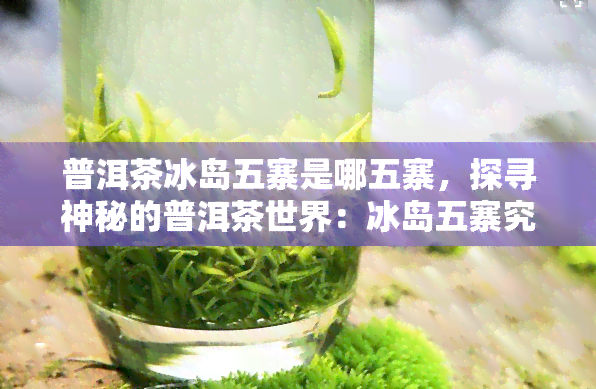 普洱茶冰岛五寨是哪五寨，探寻神秘的普洱茶世界：冰岛五寨究竟是哪些？