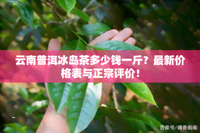 云南普洱冰岛茶多少钱一斤？最新价格表与正宗评价！