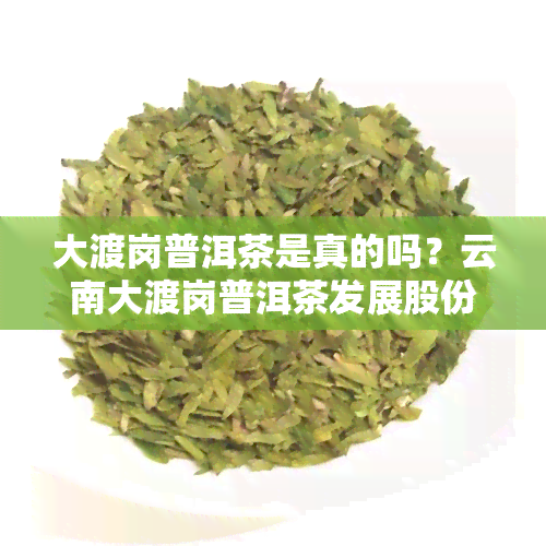 大渡岗普洱茶是真的吗？云南大渡岗普洱茶发展股份介绍及茶叶品质评价