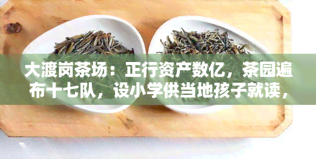 大渡岗茶场：正行资产数亿，茶园遍布十七队，设小学供当地孩子就读，每年朝圣活动热闹非凡，六队地址详询。