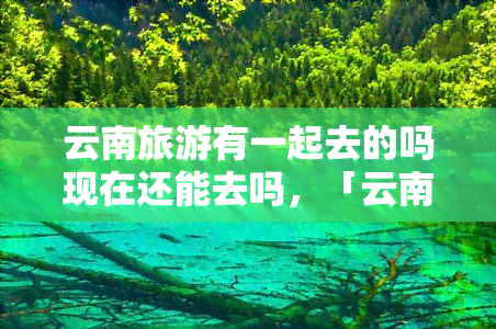 云南旅游有一起去的吗现在还能去吗，「云南旅游」邀你同游，下出行安全如何保障？