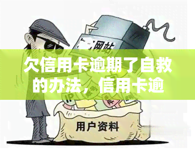 欠信用卡逾期了自救的办法，信用卡逾期？教你几招自救方法！