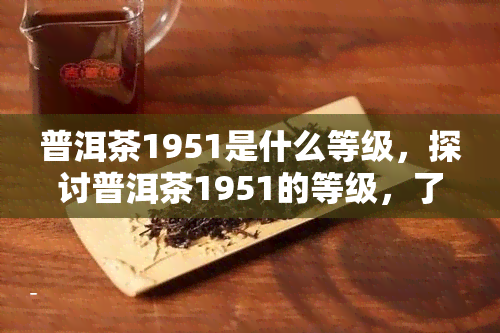 普洱茶1951是什么等级，探讨普洱茶1951的等级，了解其品质特点与价值