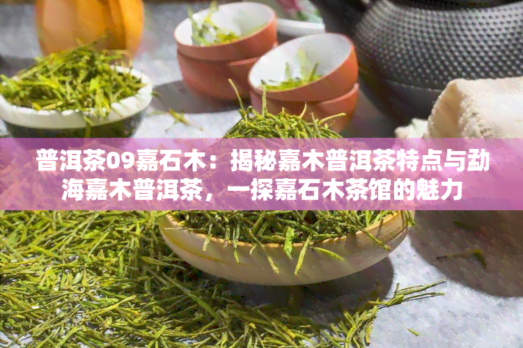 普洱茶09嘉石木：揭秘嘉木普洱茶特点与勐海嘉木普洱茶，一探嘉石木茶馆的魅力