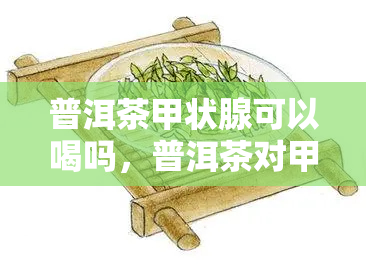 普洱茶甲状腺可以喝吗，普洱茶对甲状腺有影响吗？能否饮用？