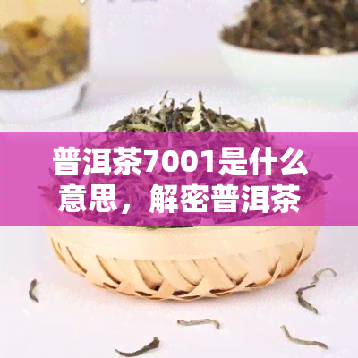 普洱茶7001是什么意思，解密普洱茶7001：含义与特点