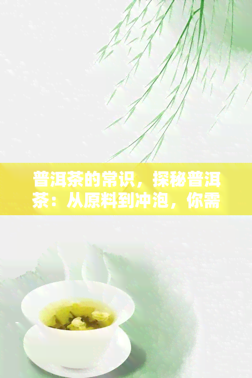 普洱茶的常识，探秘普洱茶：从原料到冲泡，你需要知道的一切常识