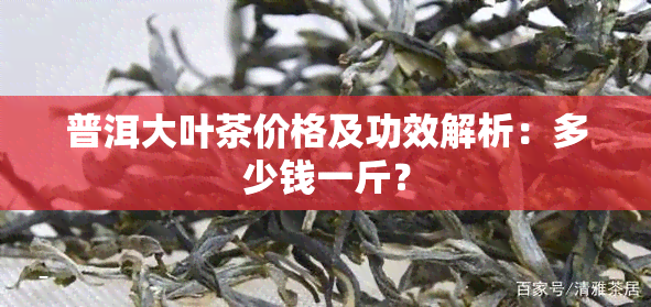 普洱大叶茶价格及功效解析：多少钱一斤？