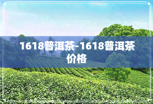 1618普洱茶-1618普洱茶价格