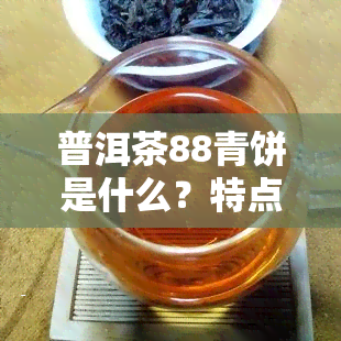 普洱茶88青饼是什么？特点、价格与7542的区别解析