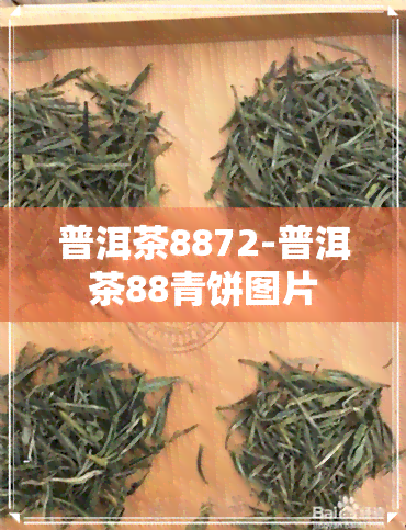 普洱茶8872-普洱茶88青饼图片