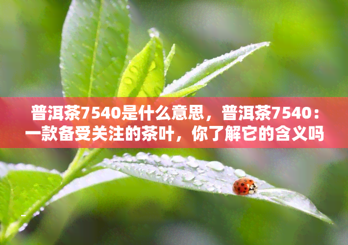 普洱茶7540是什么意思，普洱茶7540：一款备受关注的茶叶，你了解它的含义吗？